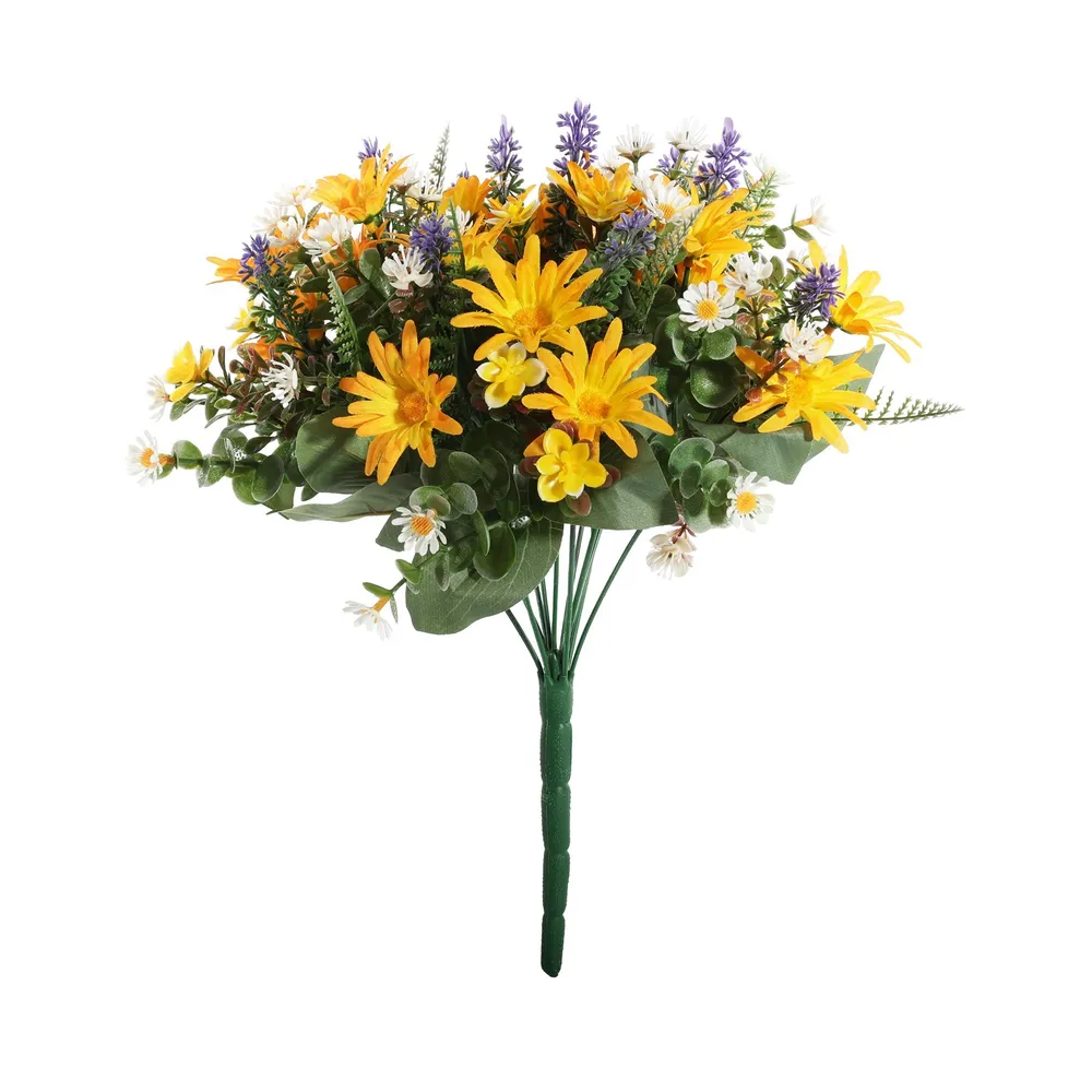 Pembroke Wild Daisy Bush X 12 Yellow